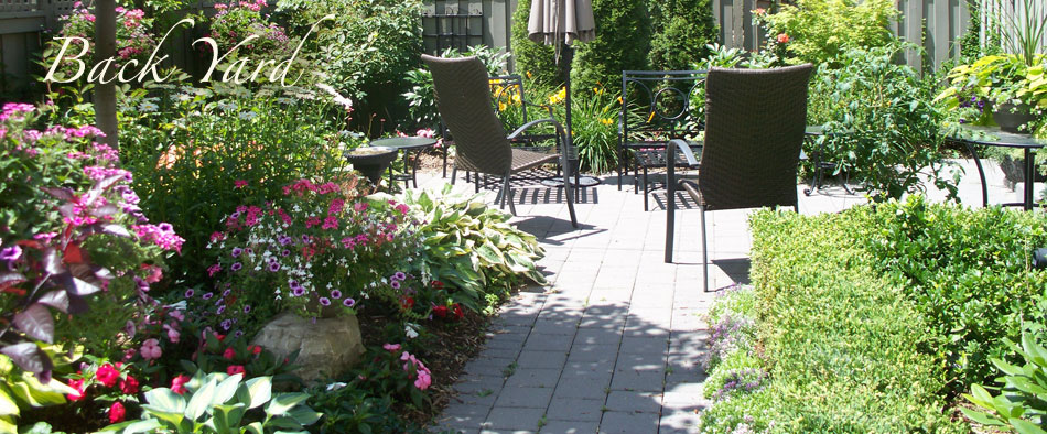Dupuis Backyard